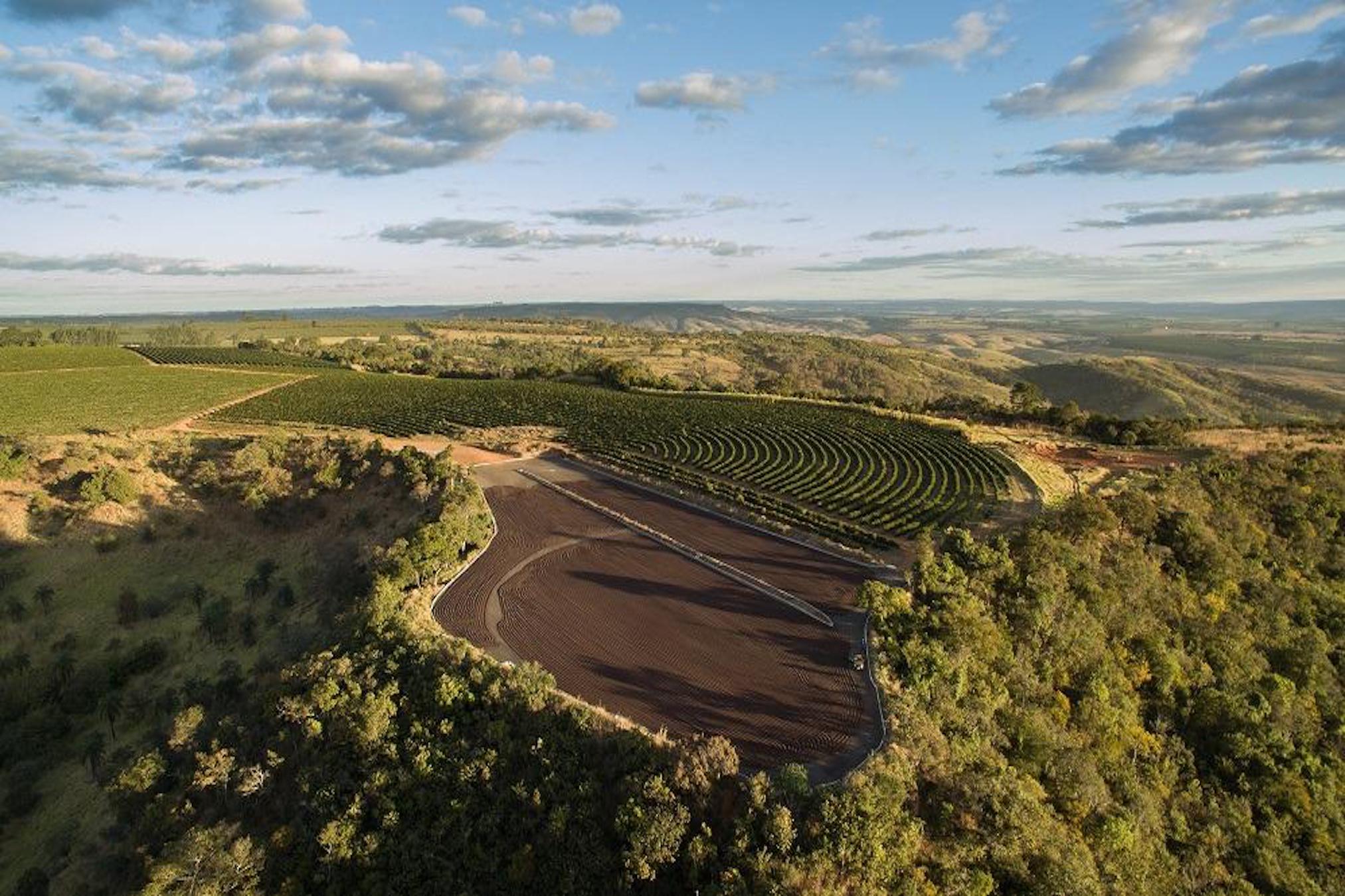 Coffee Farming, It's More Than A Business, It's A Family Tradition