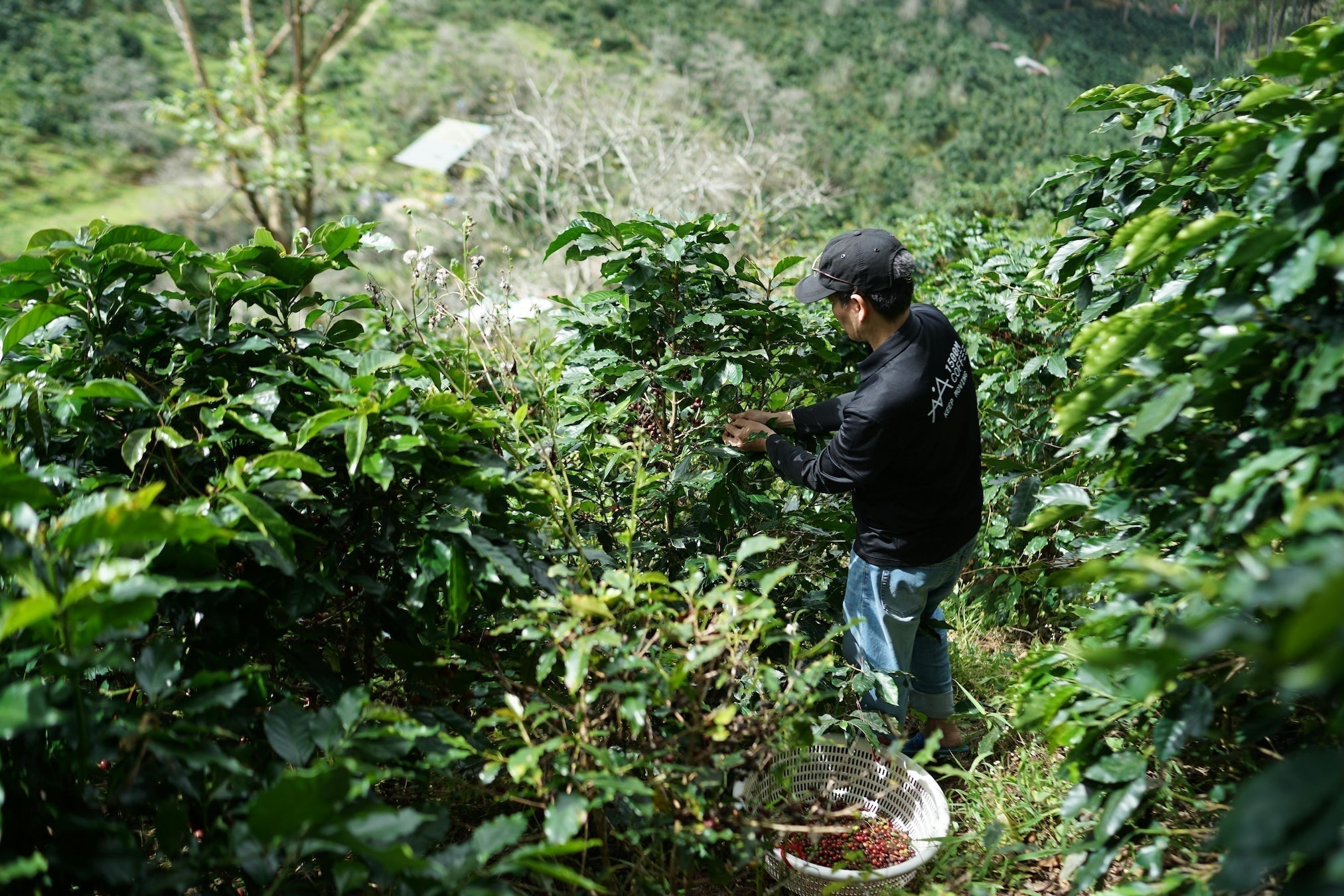 Where Most Coffee Waste Actually Happens