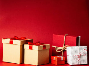 The Ultimate Holiday Gift Guide 2024