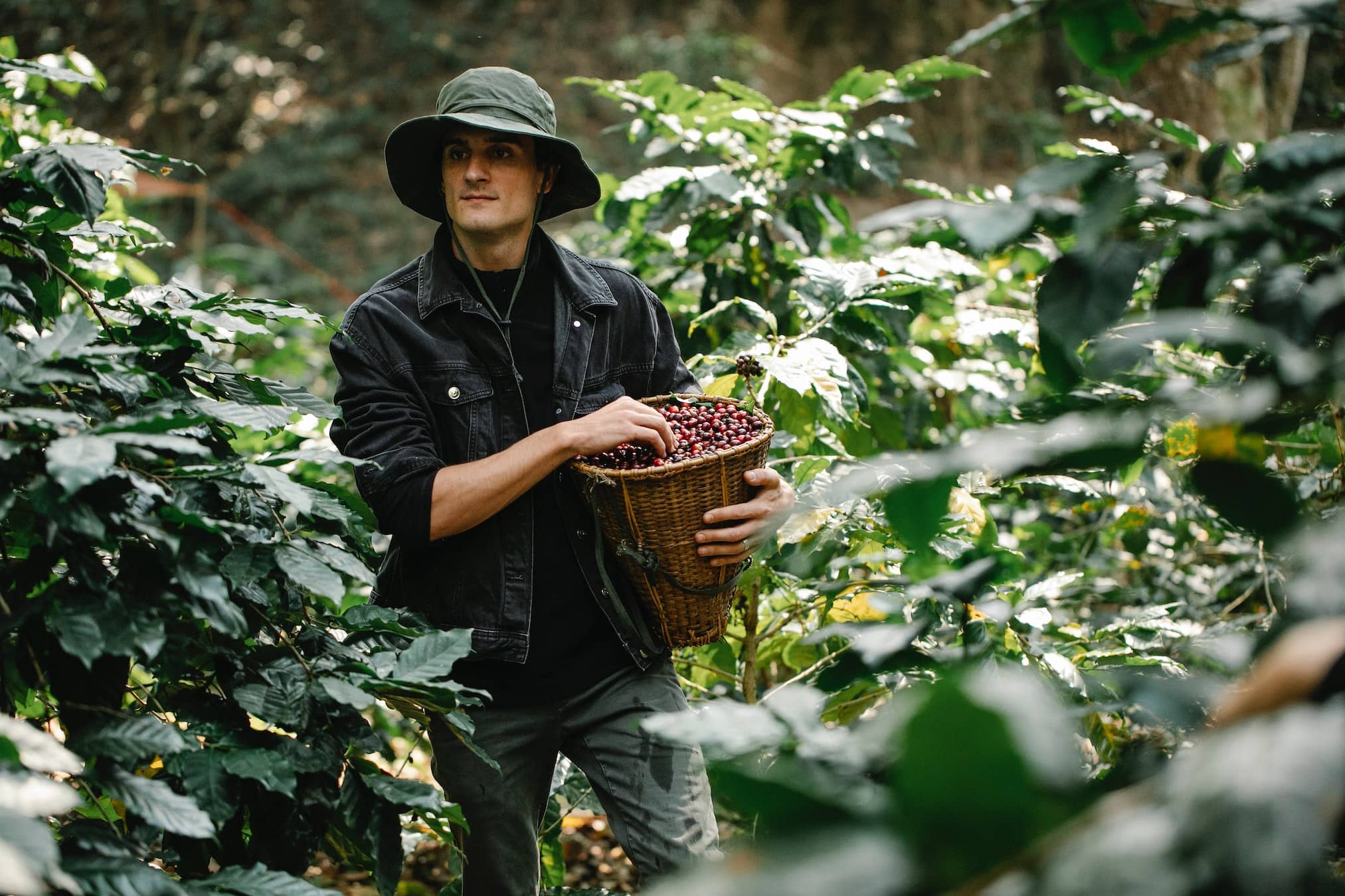 Are certifications helpful for coffee farmers?