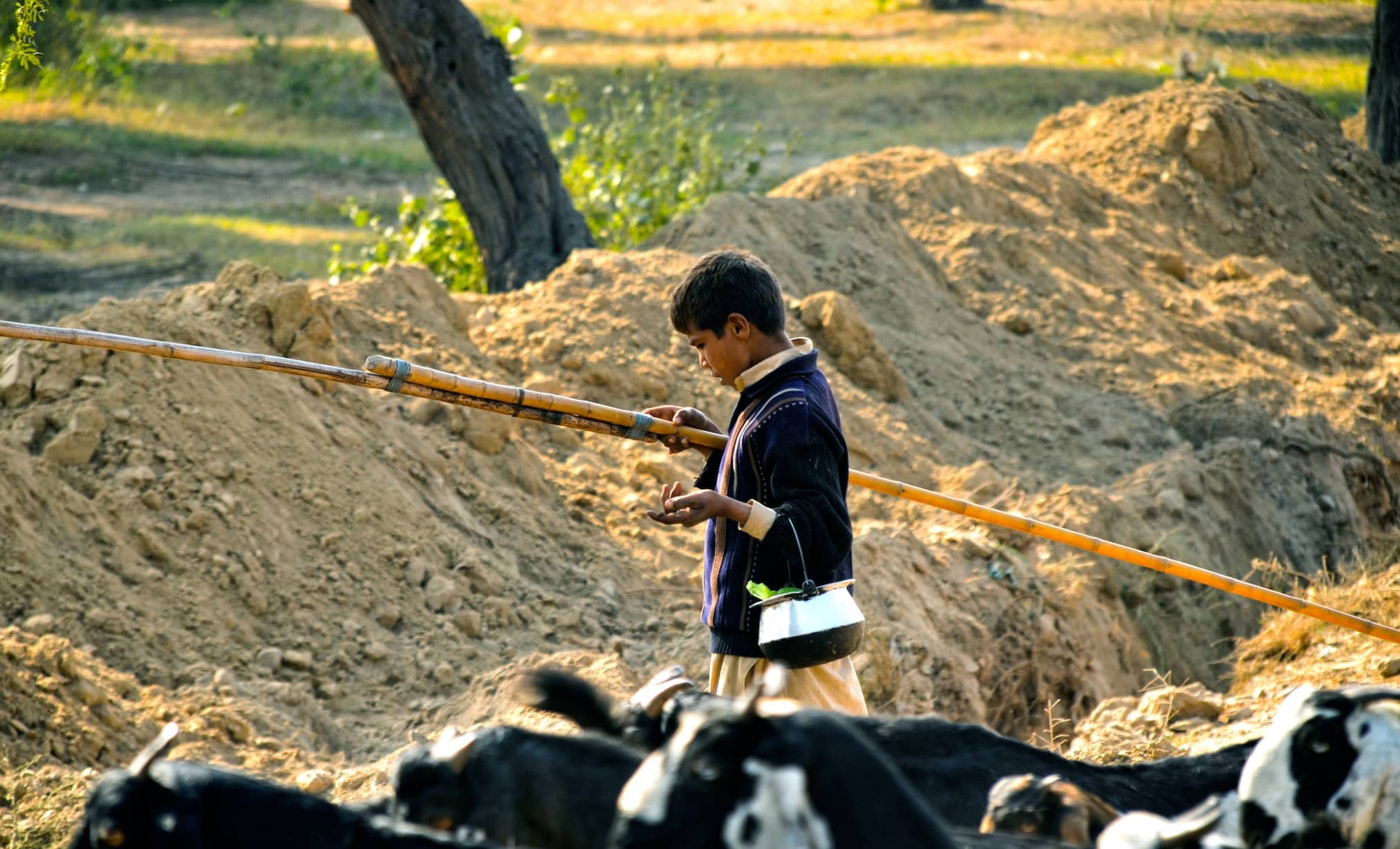 Unraveling the Mythical Origins of Coffee